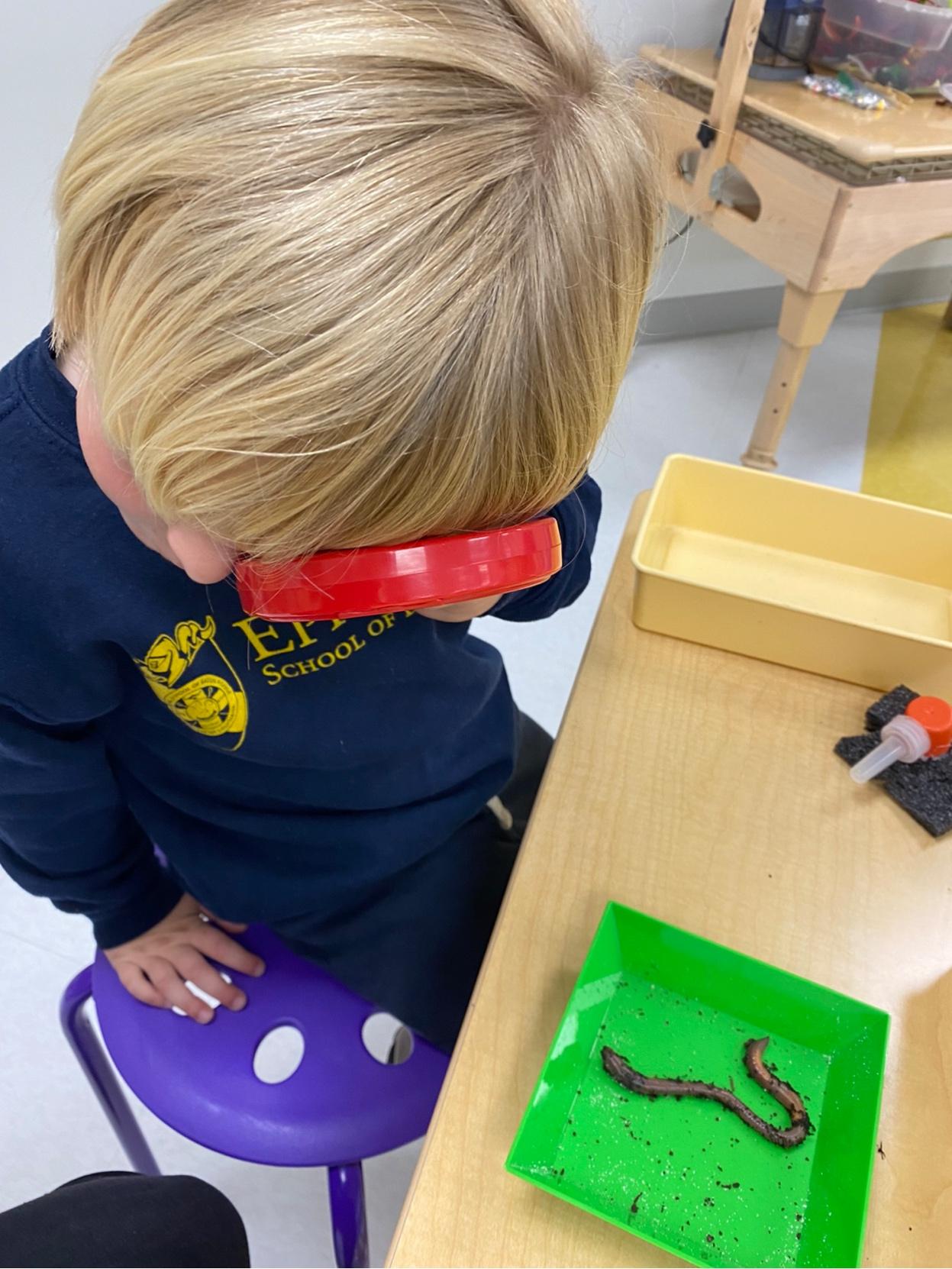 PreK science explorers